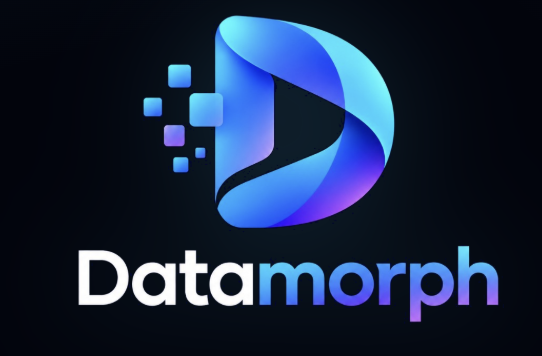 لوگوی Datamorph